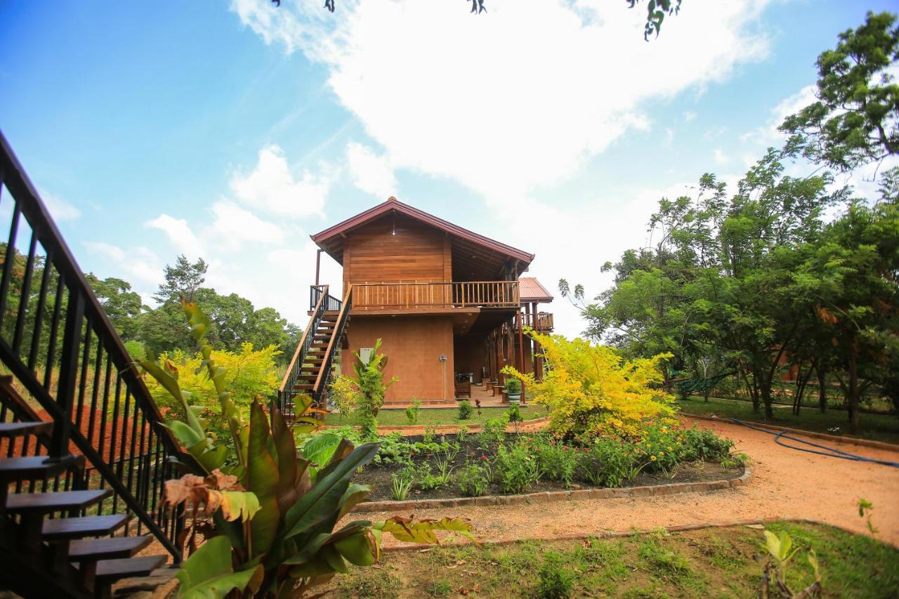 Jungle Hut Resort Sigirija Zewnętrze zdjęcie