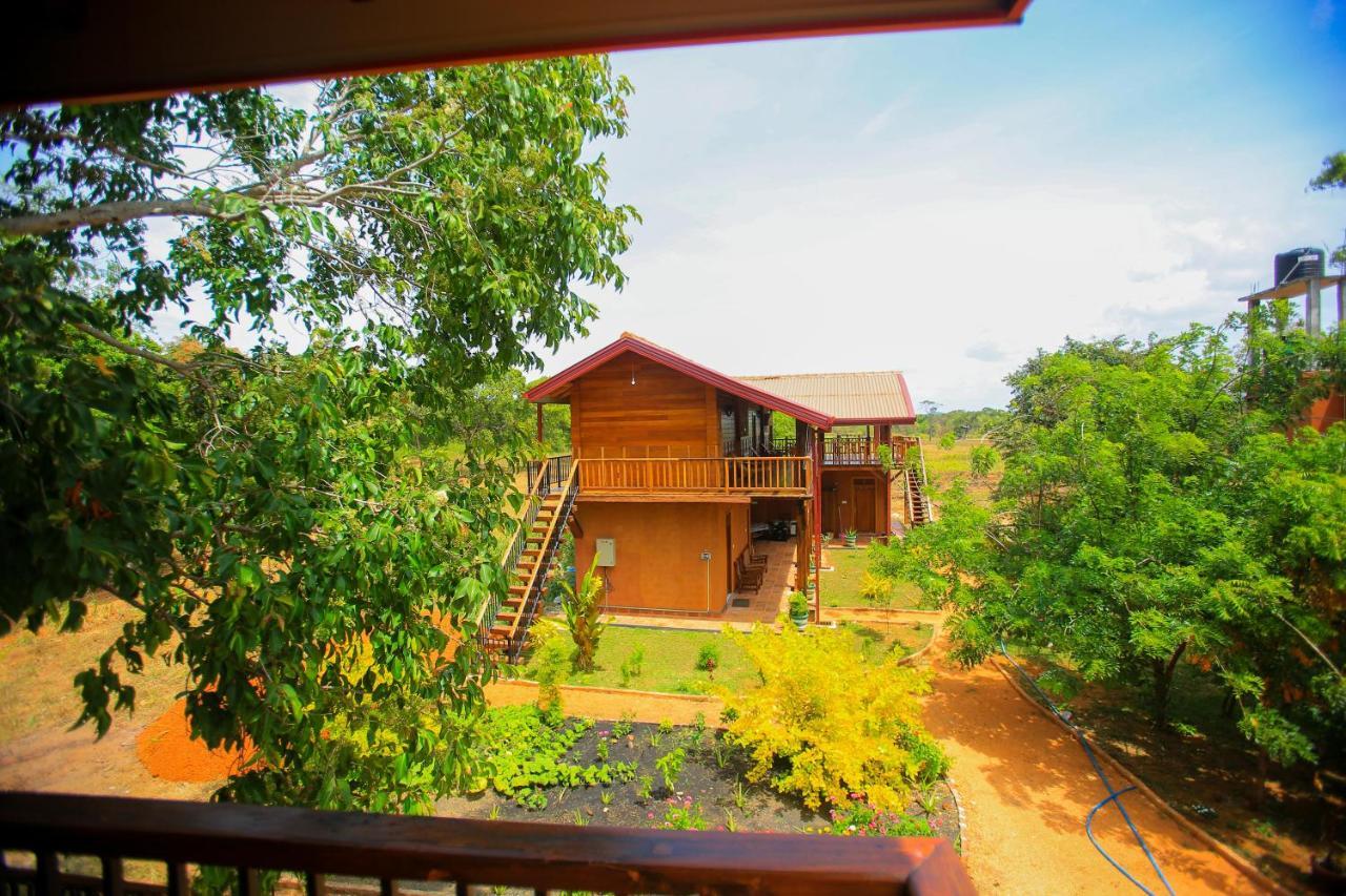 Jungle Hut Resort Sigirija Zewnętrze zdjęcie