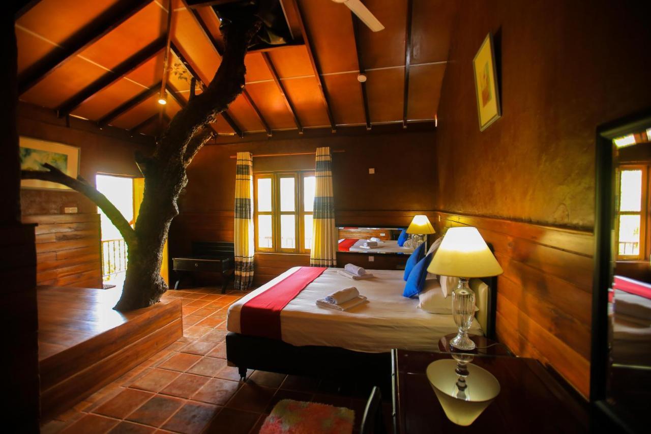Jungle Hut Resort Sigirija Zewnętrze zdjęcie