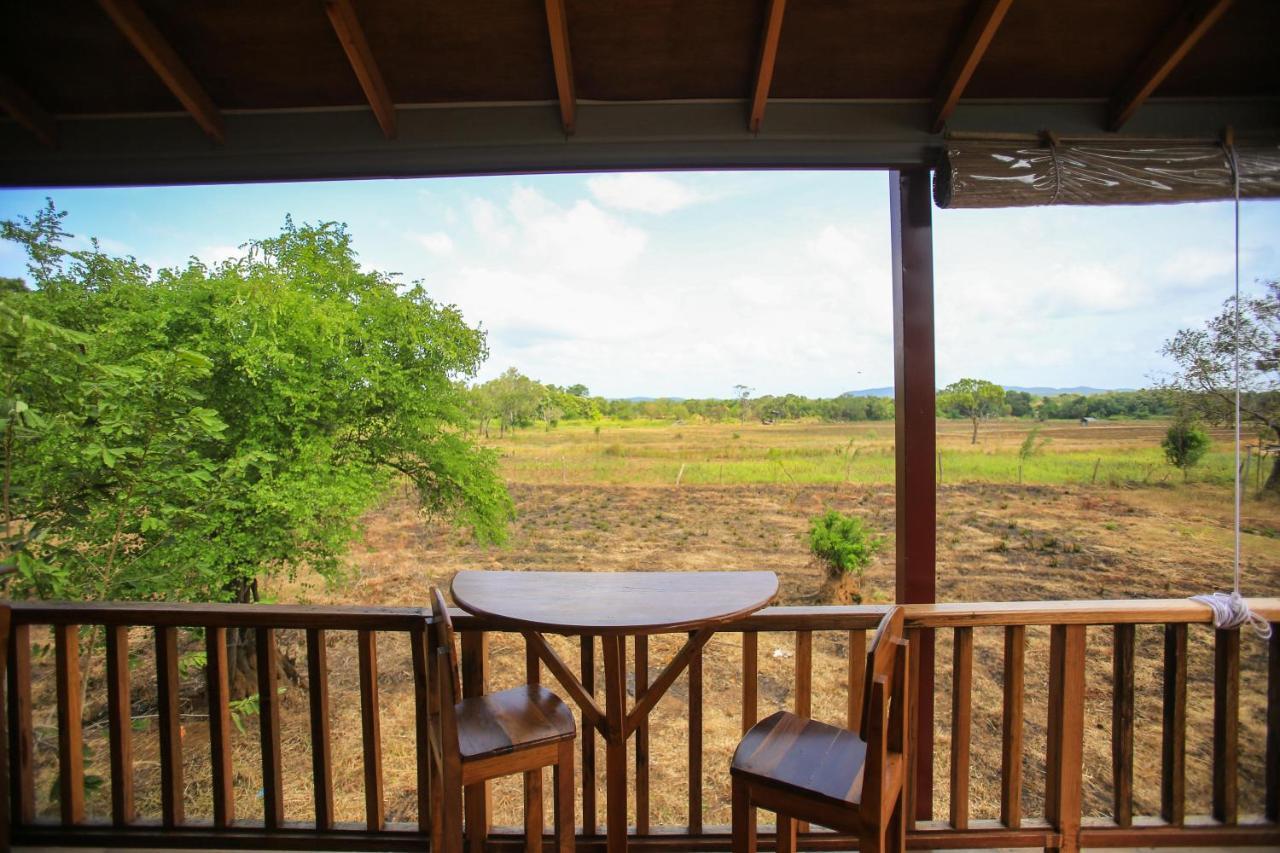 Jungle Hut Resort Sigirija Zewnętrze zdjęcie