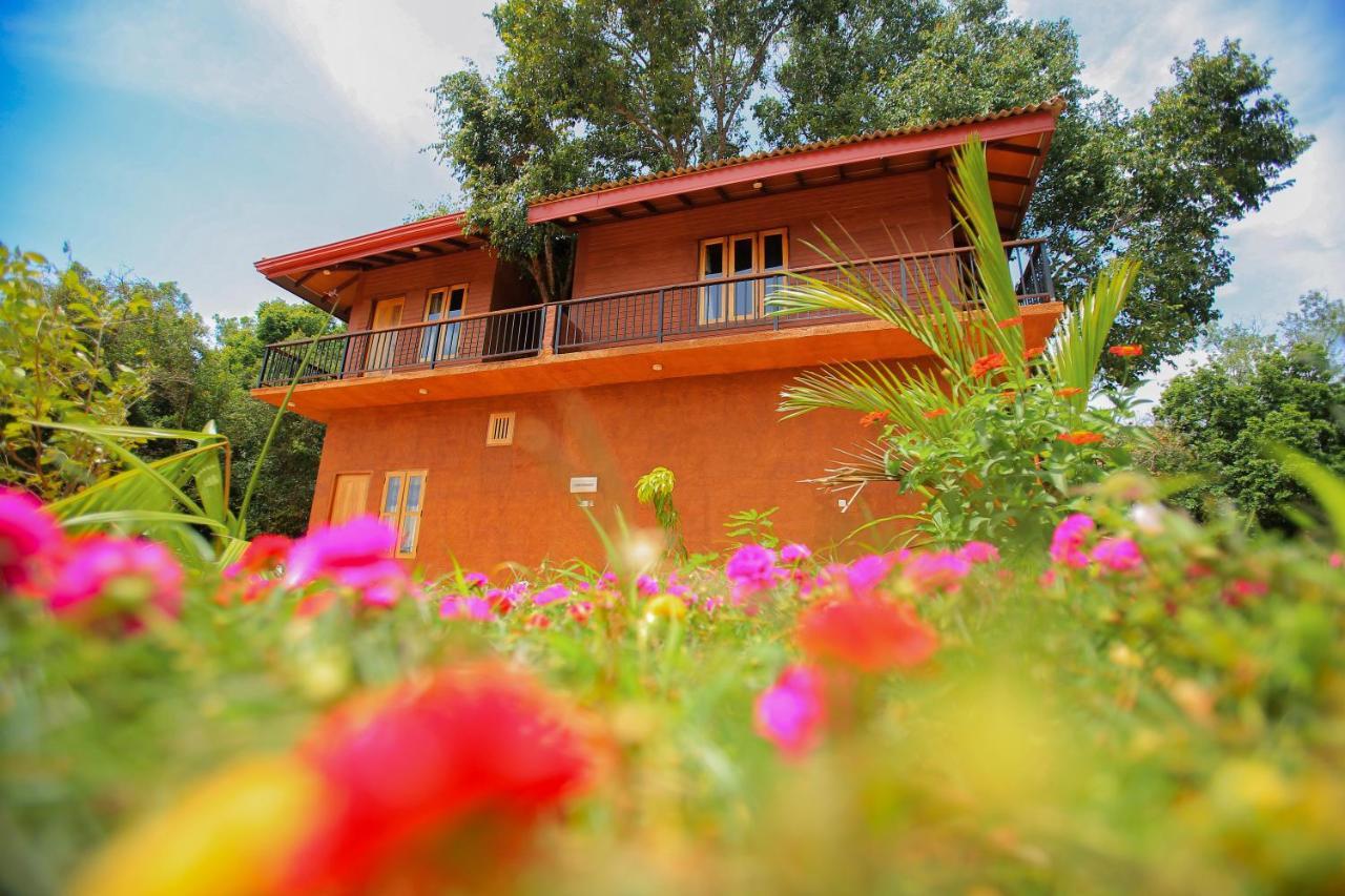 Jungle Hut Resort Sigirija Zewnętrze zdjęcie