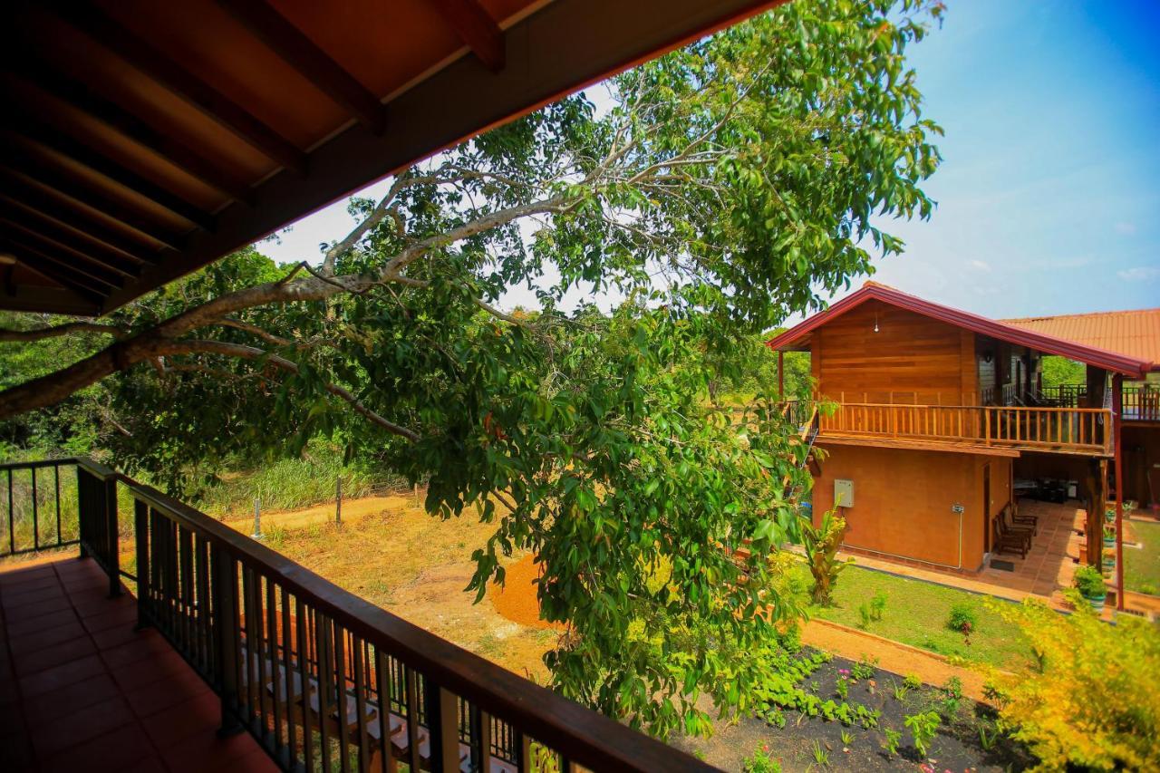 Jungle Hut Resort Sigirija Zewnętrze zdjęcie